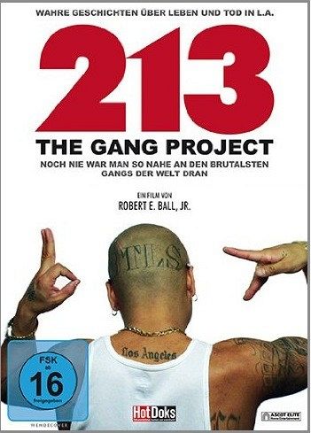 213 - The Gang Projekt [DVD]