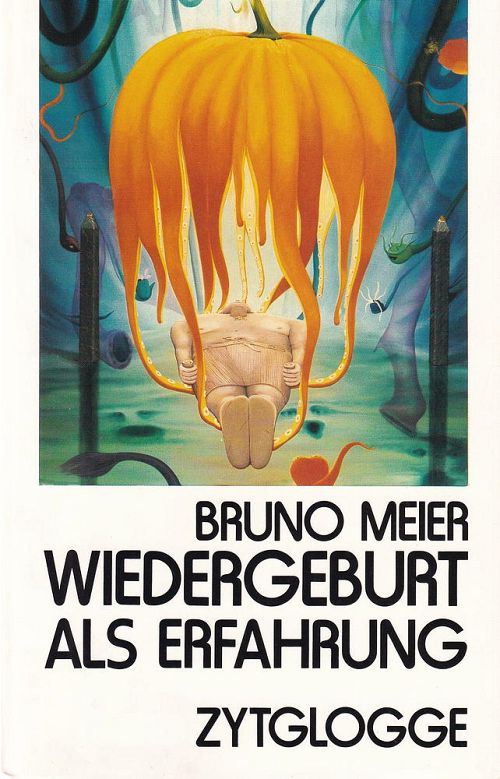 Wiedergeburt als Erfahrung