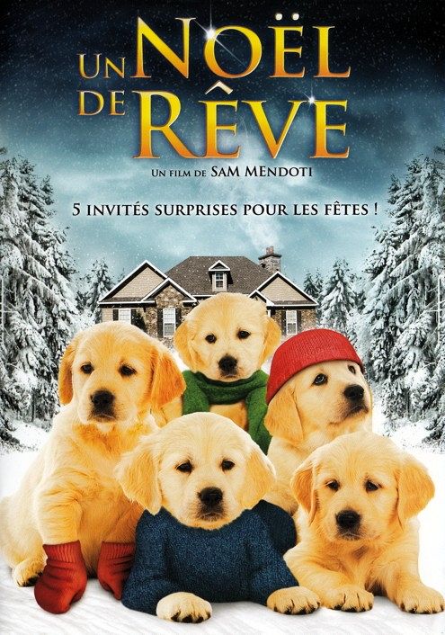 Un Noël de rêve [DVD]
