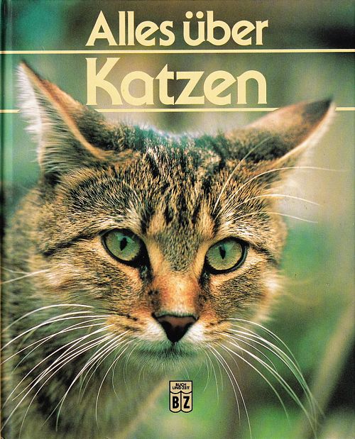 Alles über Katzen