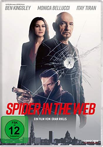 Spider in the Web [DVD]