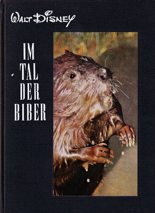 Im Tal der Biber