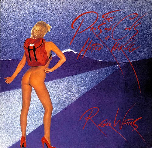 Pros and cons of hitch hiking [Vinyl]