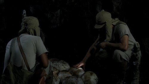 Mega-Raptor Vs. Humans [Blu-ray]