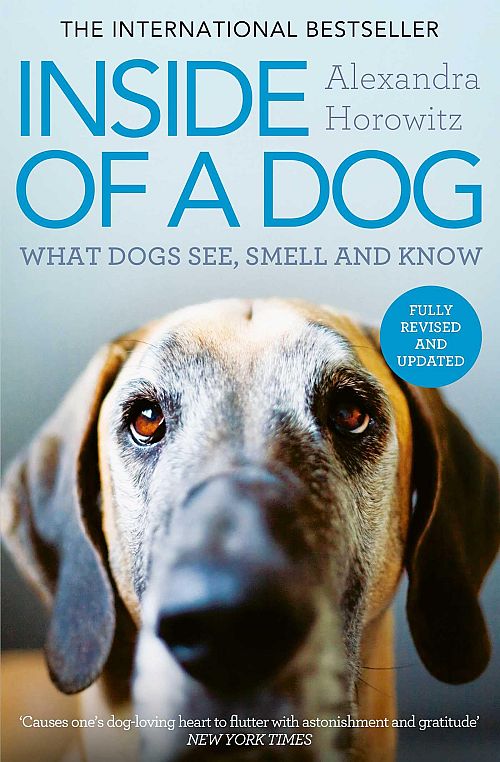 Inside of a Dog - What Dogs See, Smell, and Know
