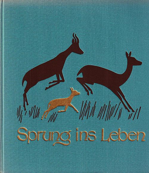 Sprung ins Leben
