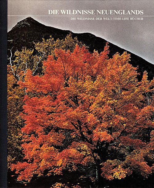 Die Wildnisse Neuenglands