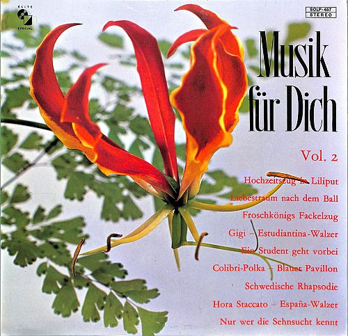 Musik für Dich Vol. 2 [Vinyl]