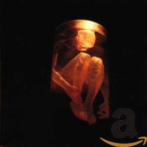 Nothing Safe: The Best Of The Box [CD]