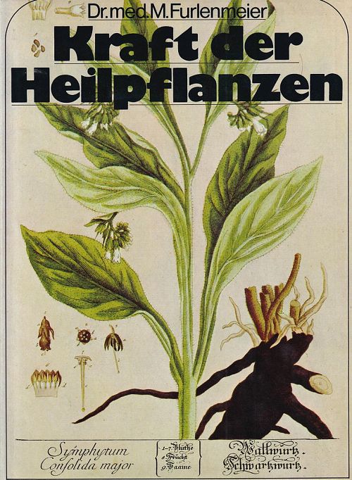 Kraft der Heilpflanzen