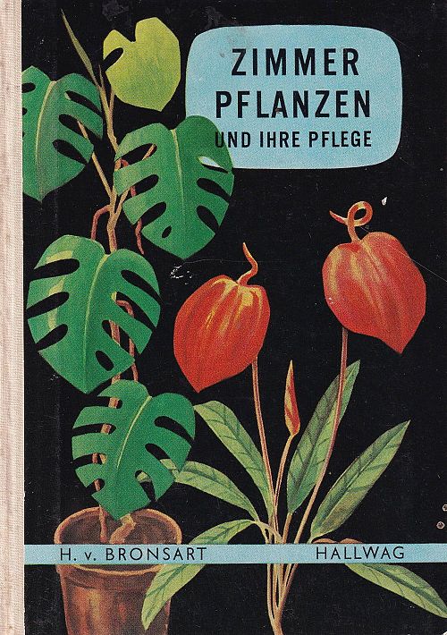 Zimmerpflanzen und ihre Pflege