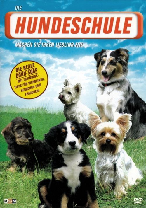 Die Hundeschule [DVD]