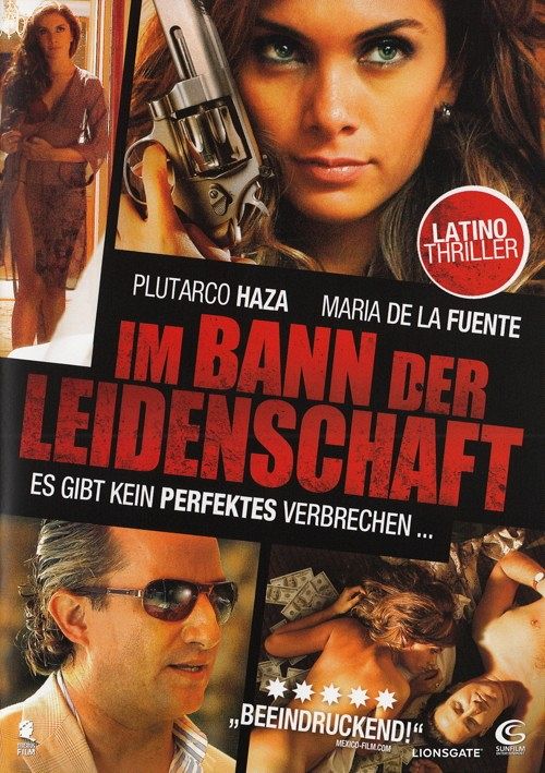 Im Bann der Leidenschaft [DVD]