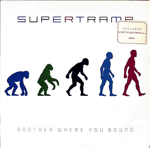 Brother where you bound [Vinyl]