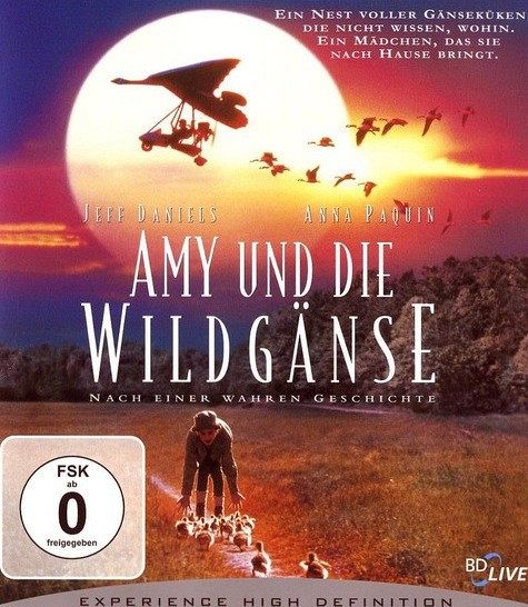 Amy und die Wildgänse [Blu-ray]