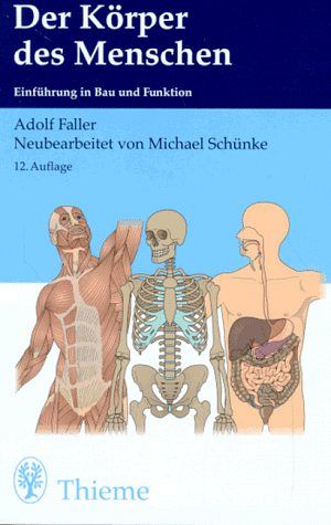 Der Körper des Menschen