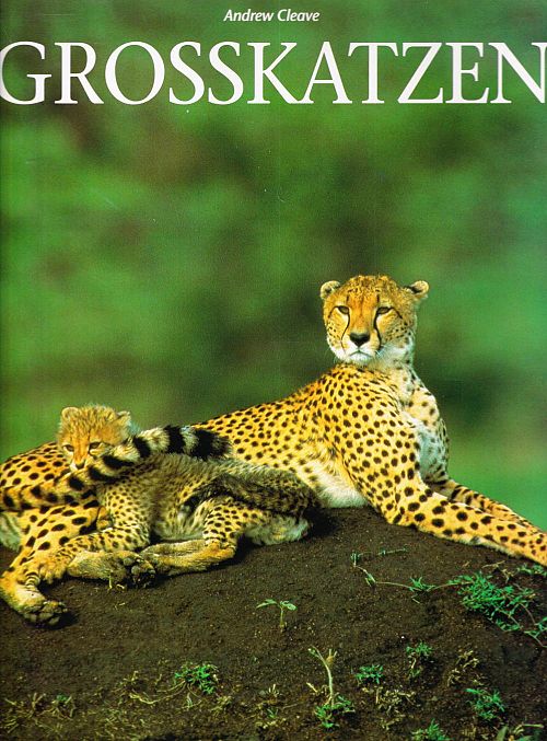 Grosskatzen