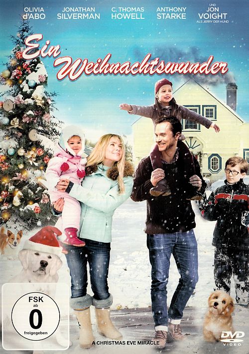 Ein Weihnachtswunder [DVD]