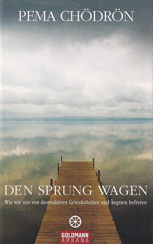Den Sprung wagen