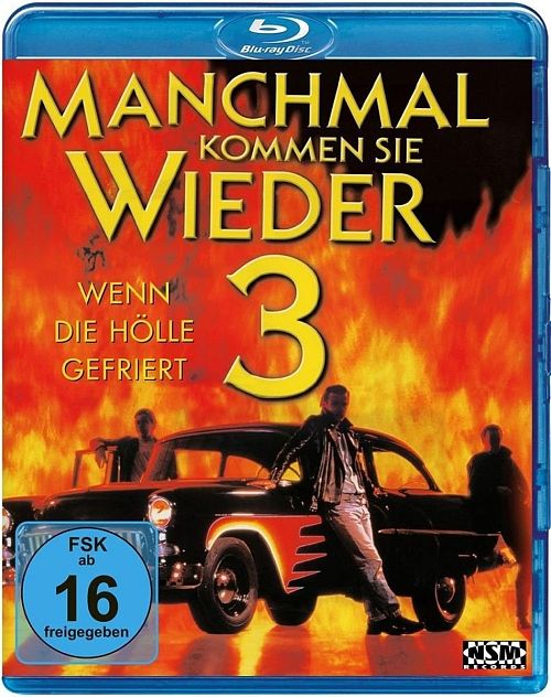 Manchmal kommen sie wieder 3 [DVD]