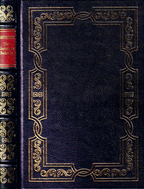 Der scharlachrote Buchstabe