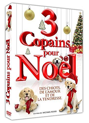 3 Copains pour Noël [DVD]