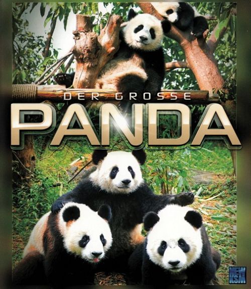 Der grosse Panda [Blu-ray]