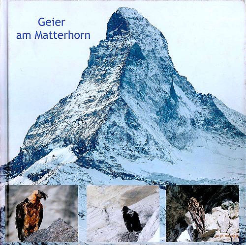 Geier am Matterhorn
