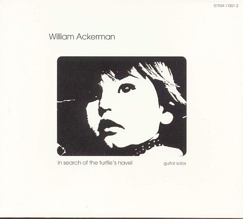 In Search of the Turtle's Navel [CD]