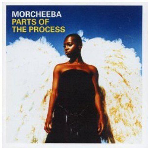 Parts of the Process [CD]