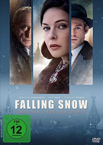 Falling Snow - Zwischen Liebe und Verrat [DVD]