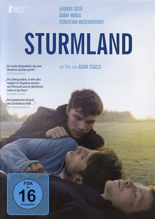 Sturmland (OmU) [DVD]