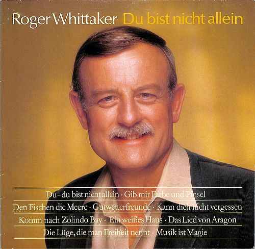 Du bist nicht allein [Vinyl]
