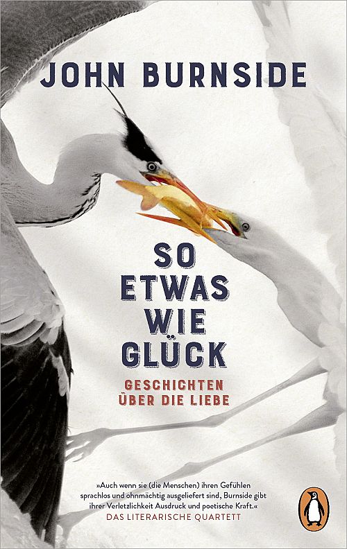So etwas wie Glück - Geschichten über die Liebe