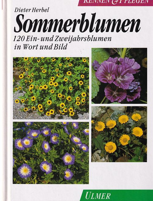 Sommerblumen - Kennen und Pflegen