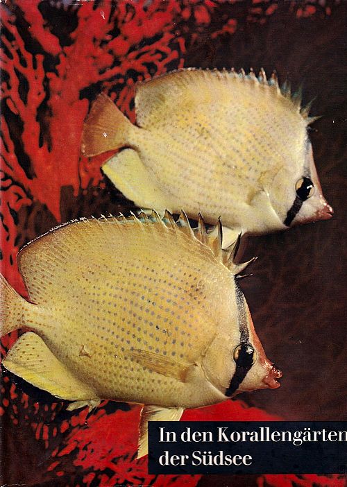 In den Korallengärten der Südsee