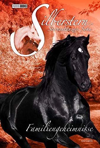 Silberstern Sternentänzers Sohn - Familiengeheimnisse