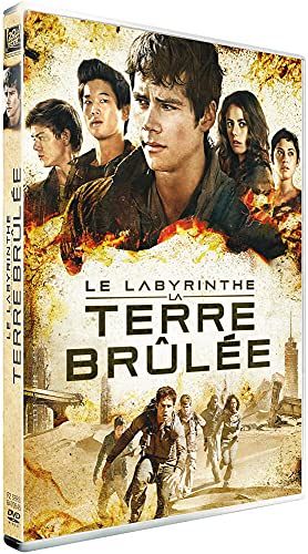 Le Labyrinthe 2 - La terre brûlée [DVD]