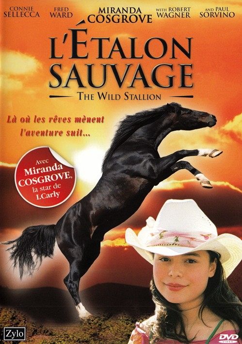 L'Etalon sauvage [DVD]