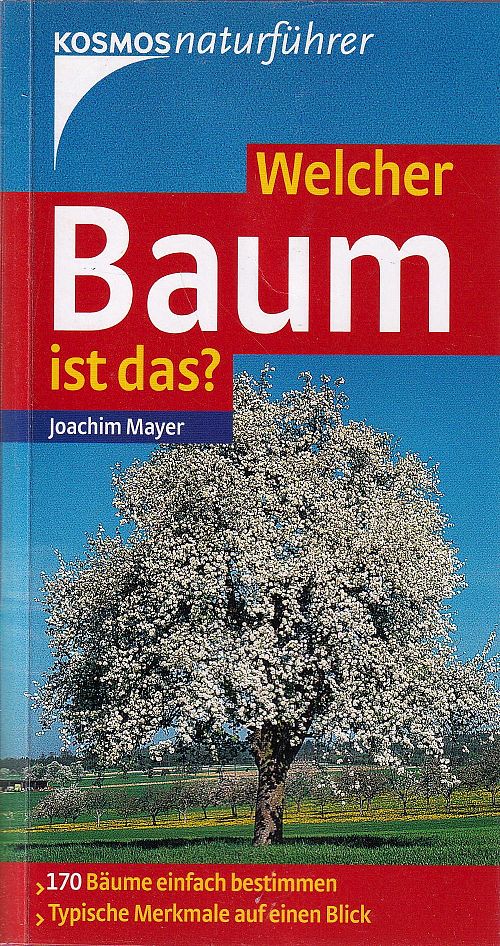 Welcher Baum ist das?