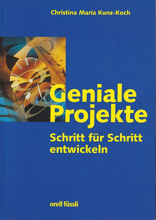 Geniale Projekte - Ein Leitfaden zur Strategieentwicklung in Projekten