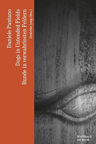 Dogs in untended Fields - Hunde in verwahrlosten Feldern 