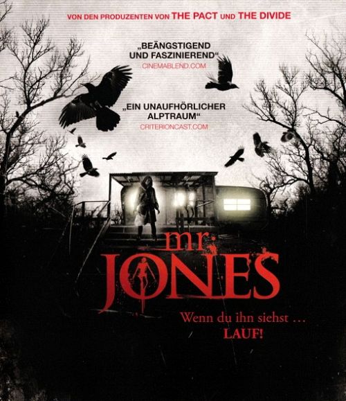 Mr. Jones [Blu-ray]