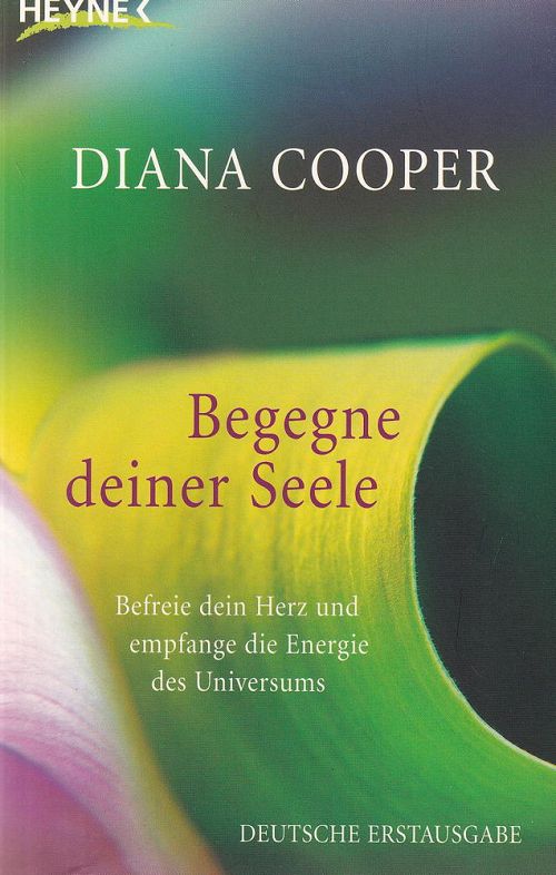 Begegne deiner Seele