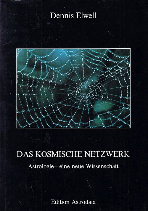 Das kosmische Netzwerk