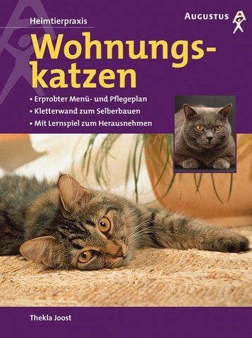 Wohnungskatzen