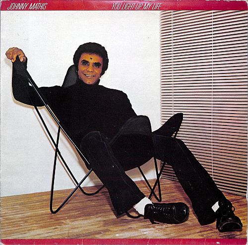 You Light Up My Life [Vinyl]