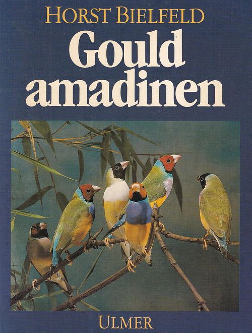 Gould amadinen