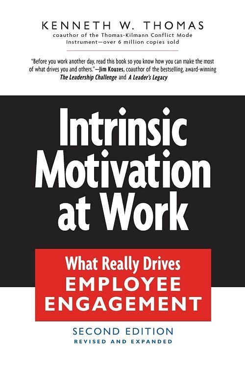 Intrinsic Motivation at Work - Building Energy and Commitment
