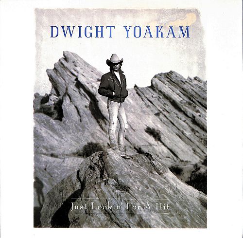 Just Lookin' For A Hit [Vinyl]